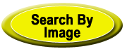 Image Search